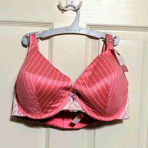 NWT Cacique pink and white stripe bra 38F